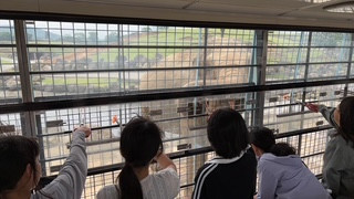 image1 (1)